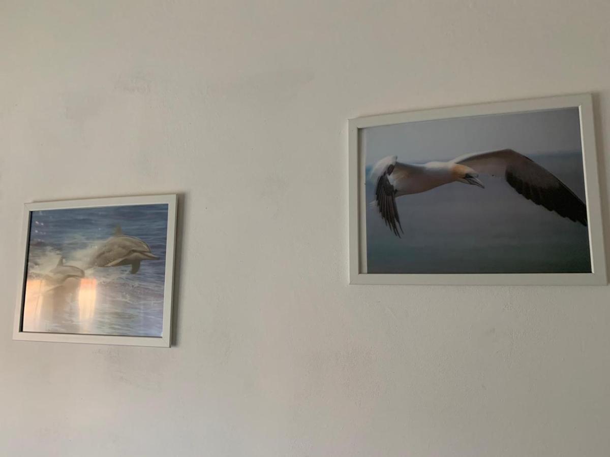 Apartmán Casa Daniele Lido di Ostia Exteriér fotografie